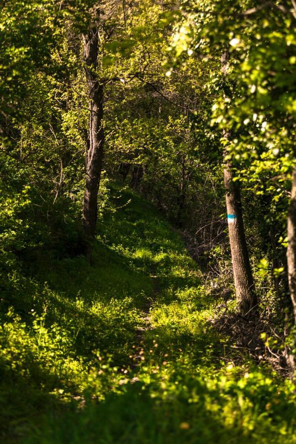 Ostello Podesteria Di Gombola - Arte E Territorio Polinago エクステリア 写真